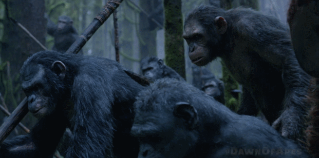 Dawn of the Planet of the Apes 