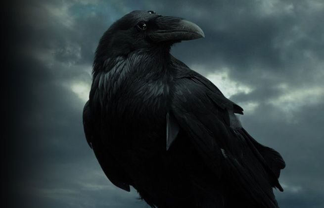 three-eyed-raven-113734