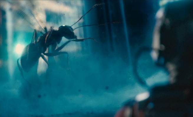 ant-man-flying-ant