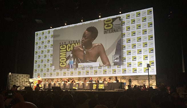 TWDpanel