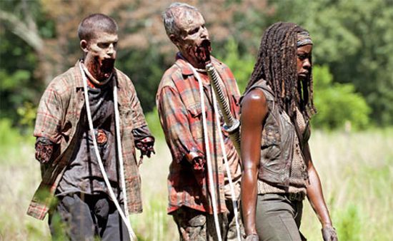 The Walking Dead Michonne pets