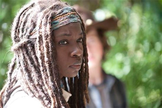 The Walking Dead Claimed Michonne