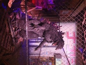 Godzilla_6456