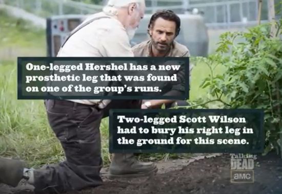 Hershel's Leg