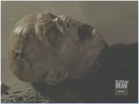 Walking Dead Season 3 Zombie head