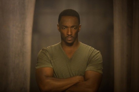 The Falcon