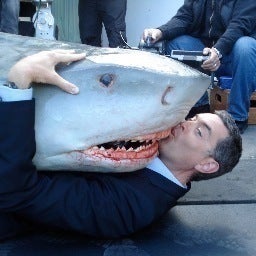 timothy-omundson-jaws