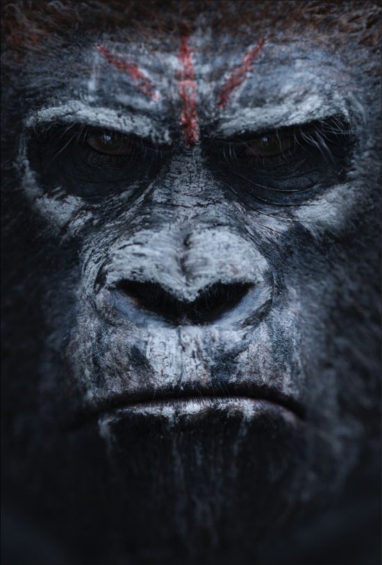 Dawn of the Planet of the Apes Poster