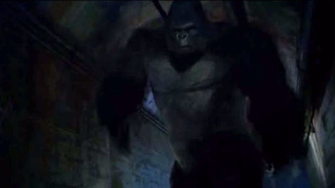 grodd