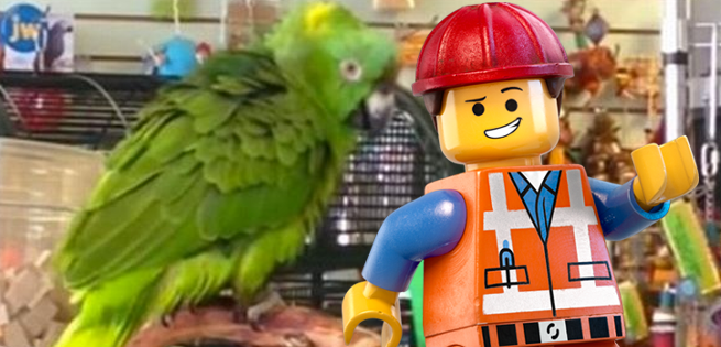 legomovieparrot