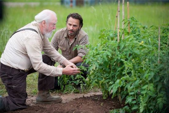 The Walking Dead Season 4 Hershel