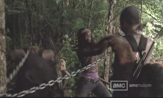 Michonne kills her pets