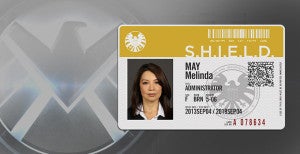 melinda-may-shield