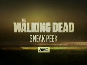 The Walking Dead Season 4 Sneak Peek