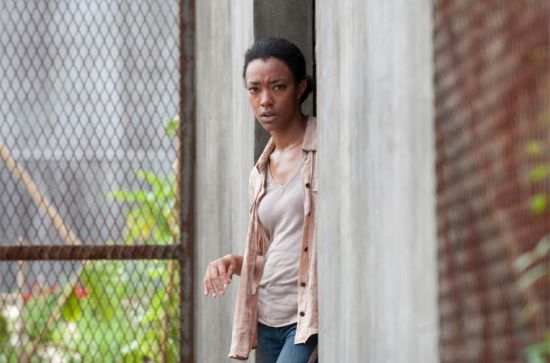 The Walking Dead Isolation Sasha