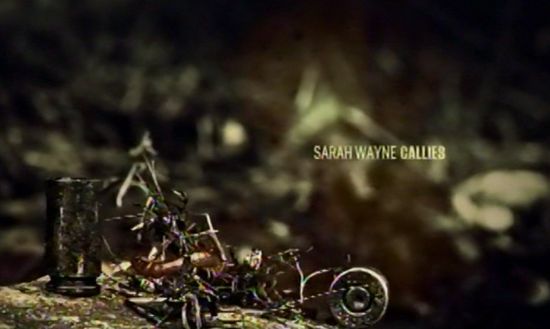 Walking Dead credits Sarah Wayne Callies