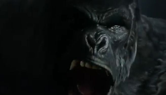 grodd-lives