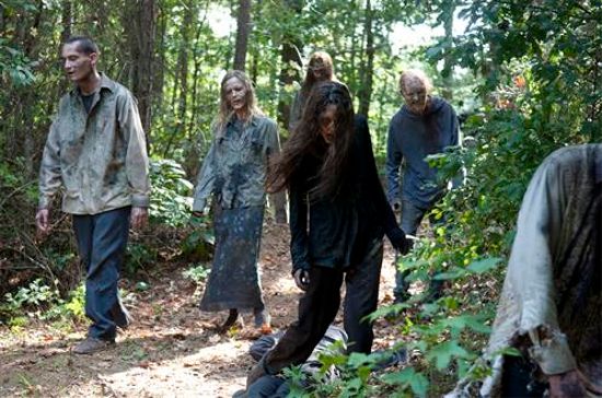 The Walking Dead Inmates Walkers