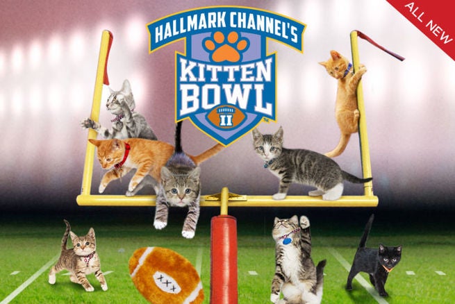 Kitten Bowl II