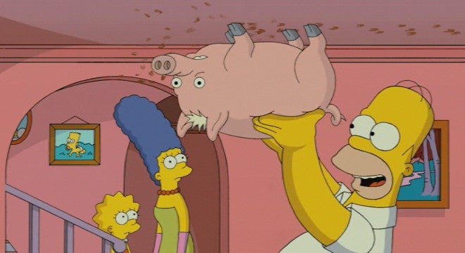 Spider-pig on the ceiling - slider