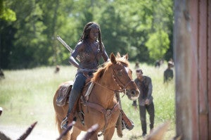 the-walking-dead-infected-michonne-horse