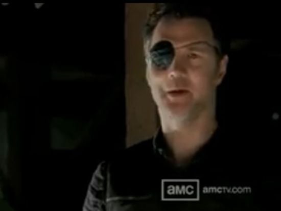 The Walking Dead The Governor