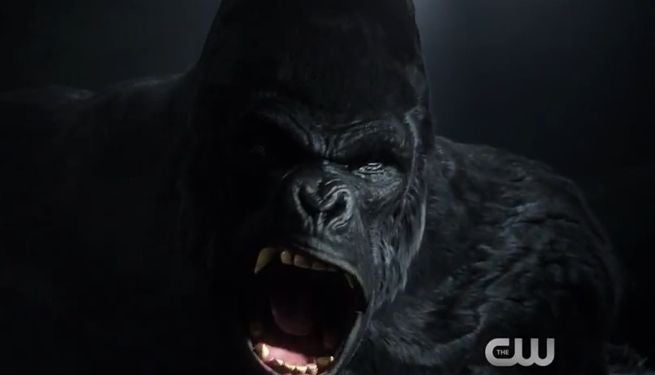 grodd-lives-extended