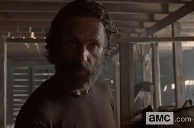 the-walking-dead-the-distance-rick