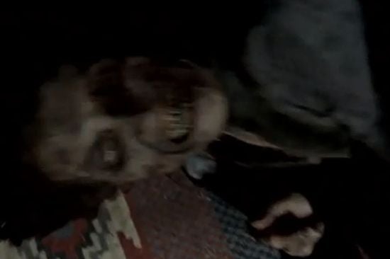 The Walking Dead Dark Knight