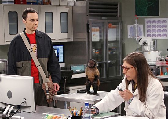 The Big Bang Theory The Workplace Proximity