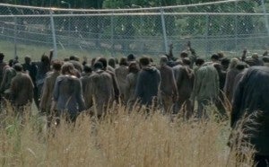 Walkers Crowd Together