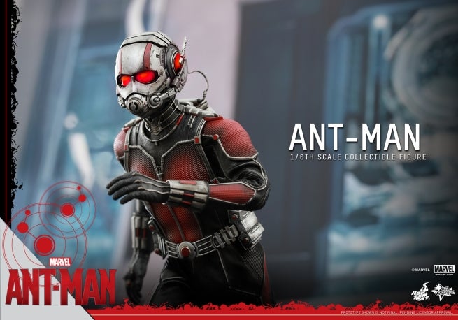 Hot Toys - Ant-Man - Ant-Man Collectible Figure_PR11