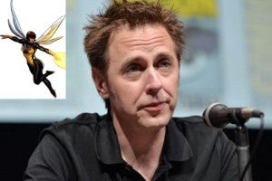 James Gunn injured by wasp