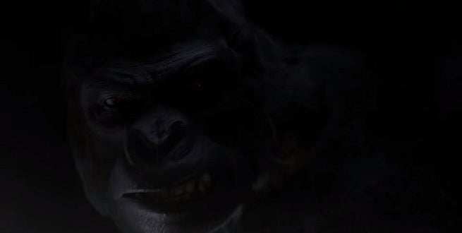 grodd