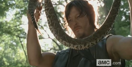 The Walking Dead Daryl Dixon Snake