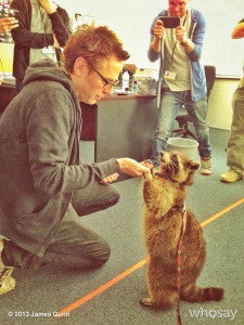 Guardians of the Galaxy Director Finds the Raccoon He's Looking For ...