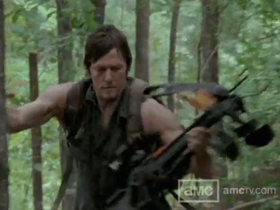 The Walking Dead The Suicide King Daryl