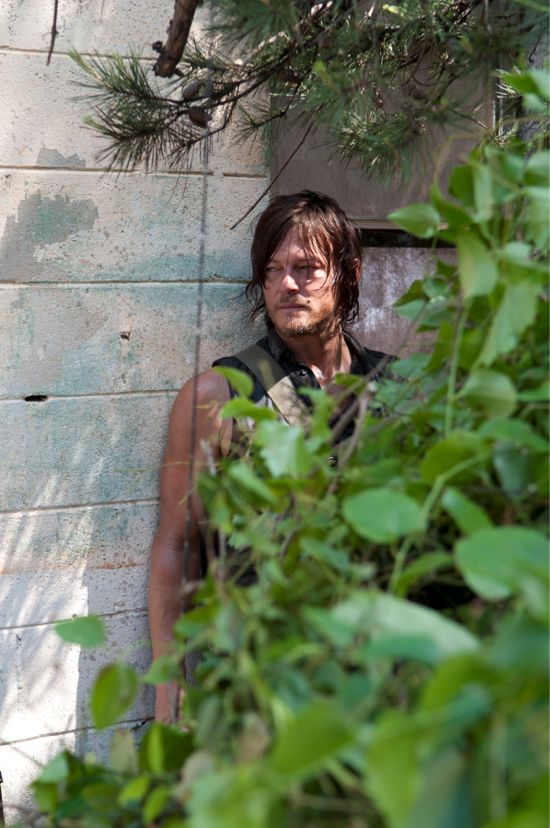 The Walking Dead Indifference Daryl