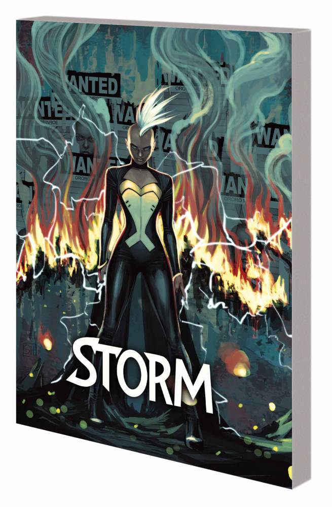 STORM2014V2TPB cvr