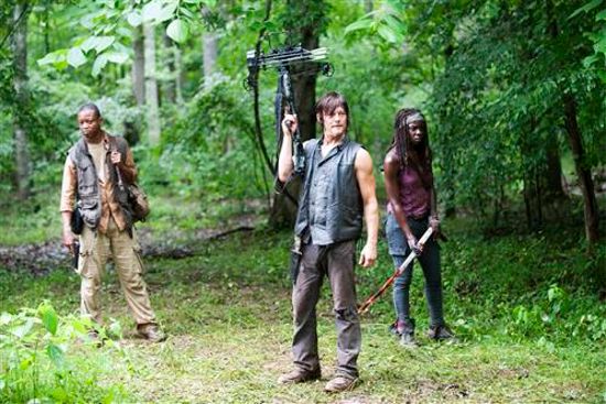 Walking Dead Isolation Daryl, Michonne, Bob Stookey