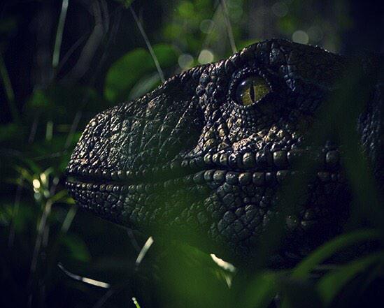 jurassic-world-raptor