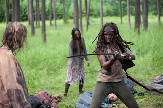 The Walking Dead After Michonne sword