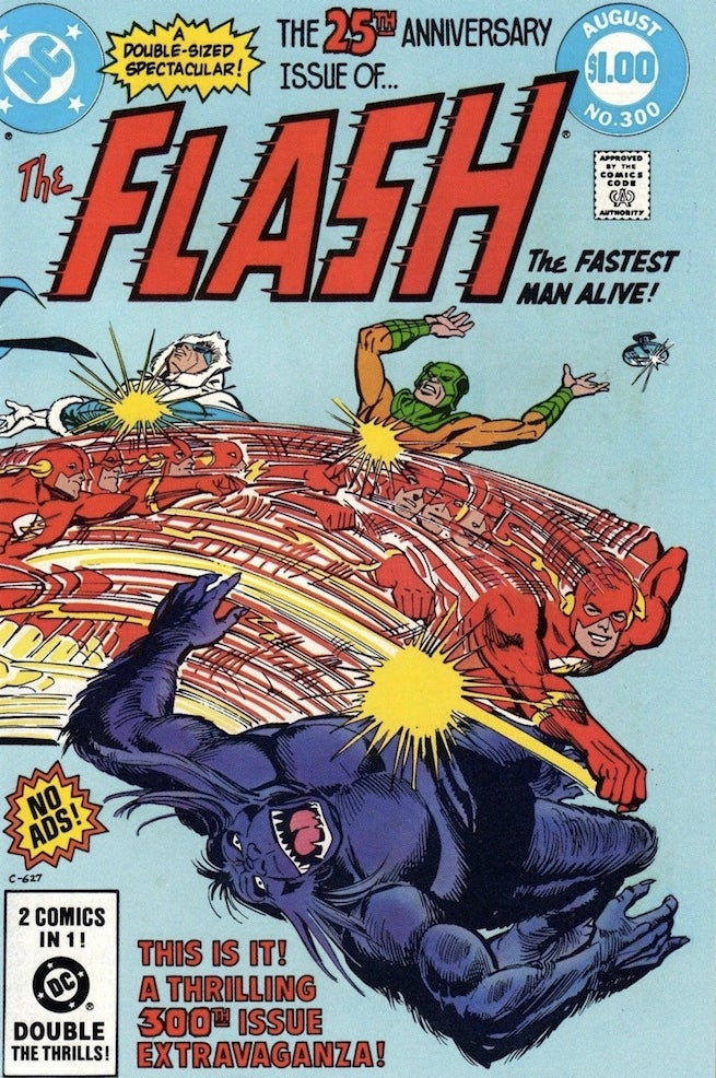 Flash 300 cover