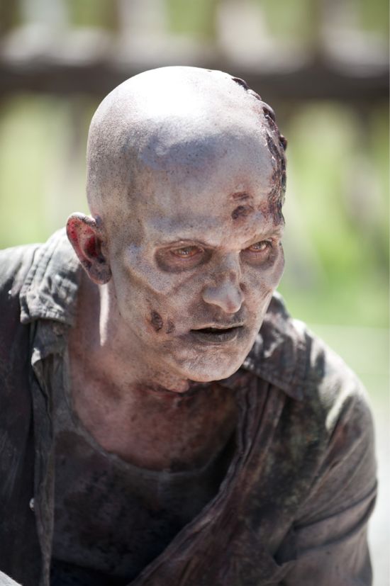 Walking Dead Infected Walker