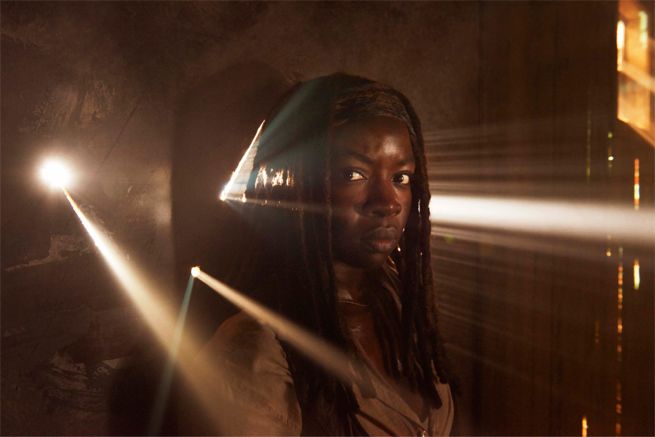 wd-light-michonne