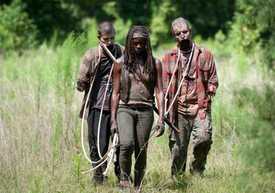 The Walking Dead After Michonne