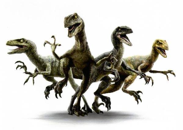 raptor-squda raptor-squda