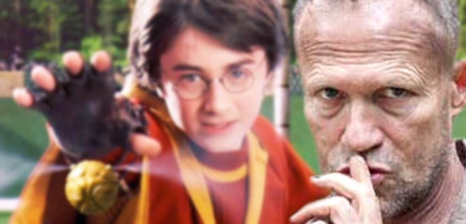 rookerharrypotter