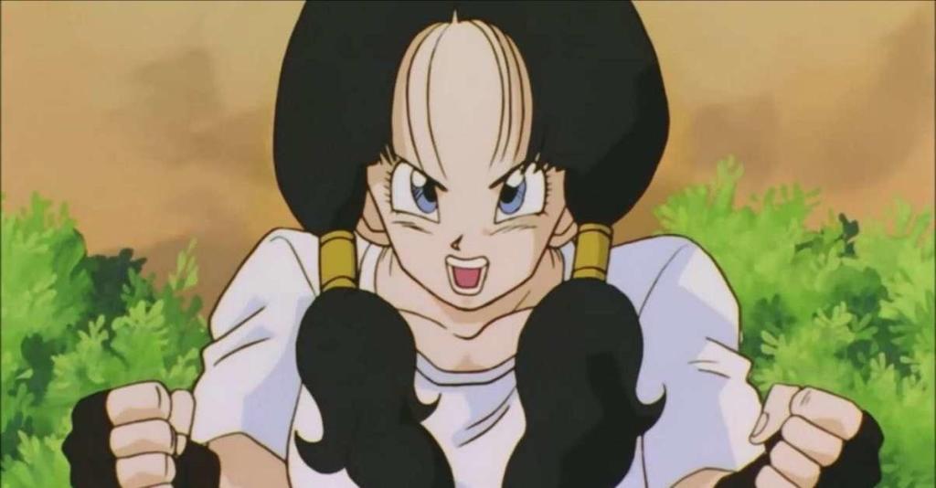 Videl in Dragon Ball Z
