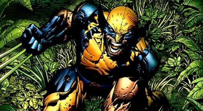 wolverine-990740.jpg